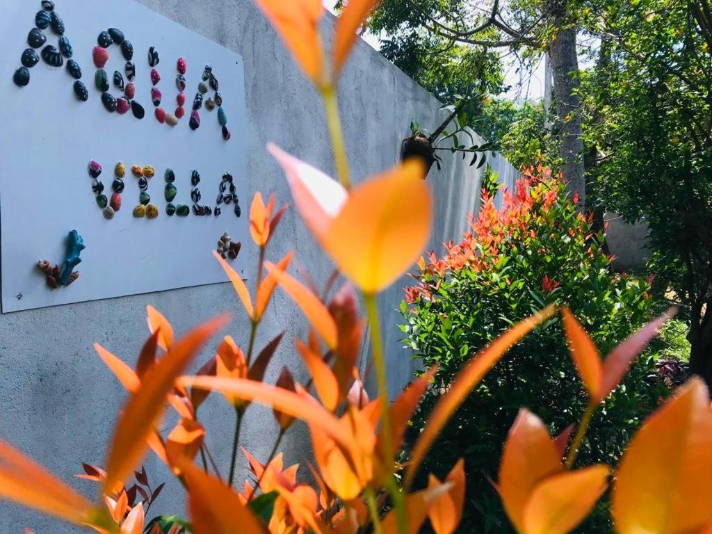 New Aqua Villa Weligama Exterior photo